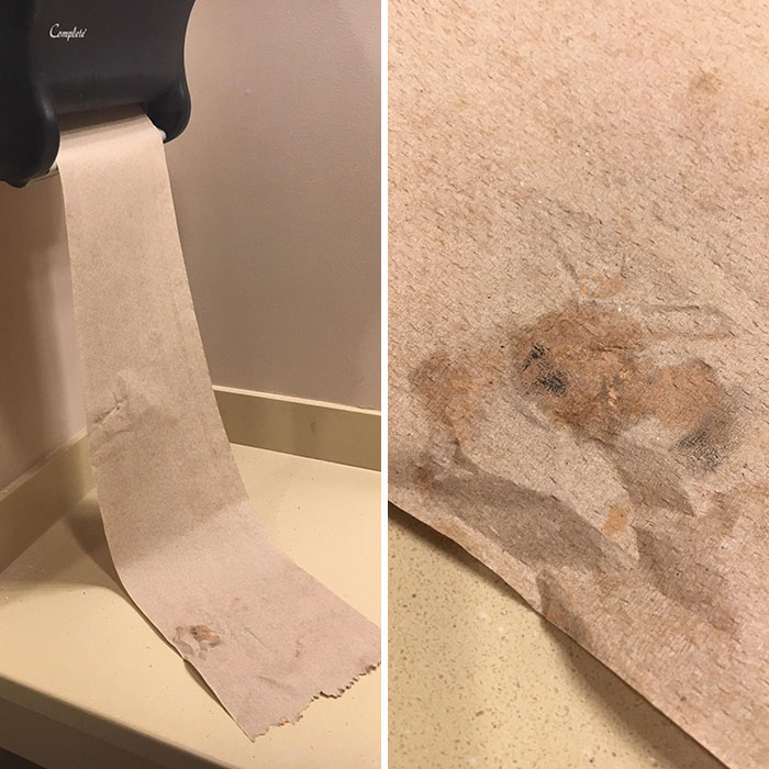 Someone Wiped Their Makeup Off And Just Left It In The Bathroom Of This Restaurant