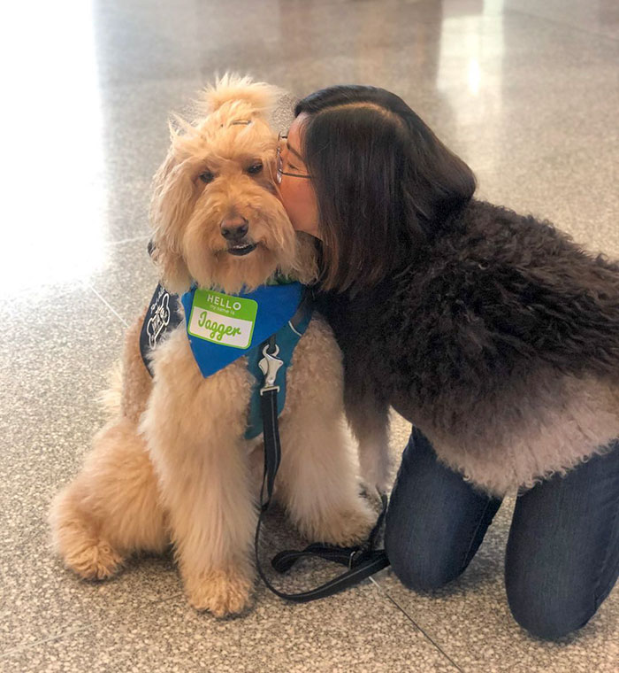 San Francisco Airport Has A "Wag Brigade" That Consists Of 22 Dogs And 1 Pig