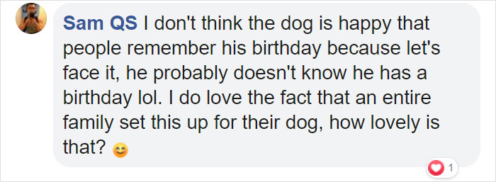 Family Throws A Surprise Birthday Party For Its 13 Y.O. Senior Dog And He Can't Believe They Remembered