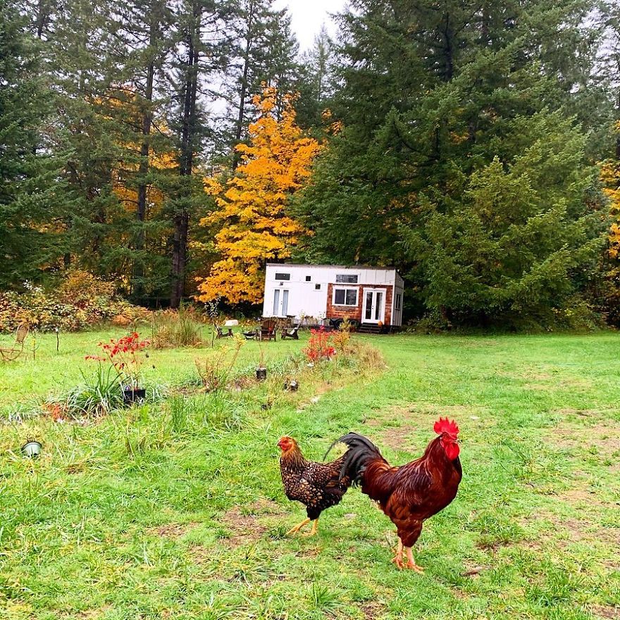Family Builds Beautiful Tiny House Homestead On Their Farm. Family Builds Beautiful Tiny House Homestead On Their Farm.