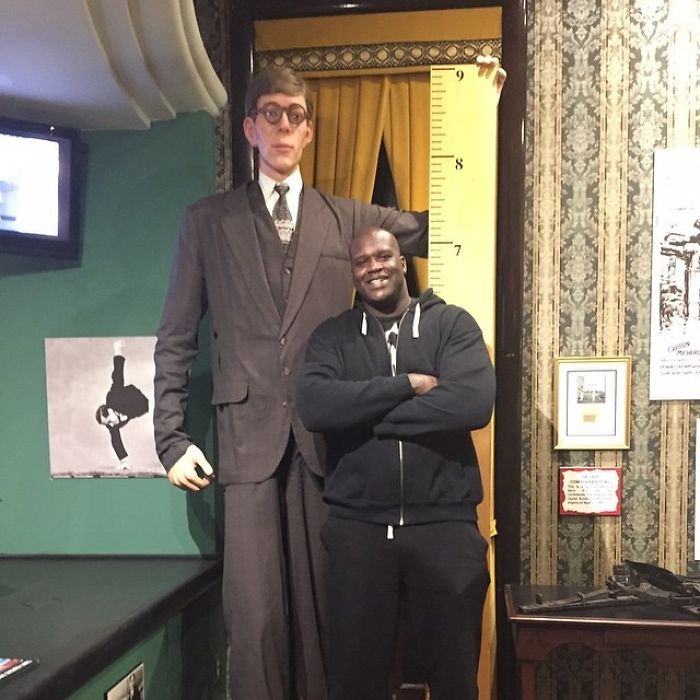 Shaquille O'neal, At 7'1", Stands Next To A Wax Figure Of Robert Wadlow, Who Was The Tallest Man To Have Ever Lived At 8'11"