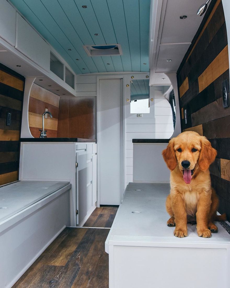 A Solo Female Traveler In A Converted Van With Her Puppy- Living On The Road Can Be An Incredible!