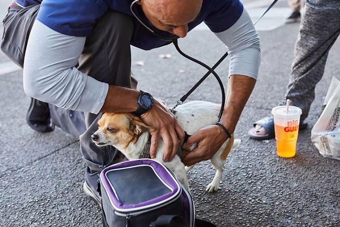 This Man Is A Veterinarian Who Walks Around California And Treats Homeless People's Animals For Free