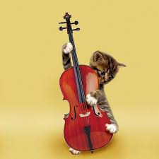 violin-cat-5e5426761d5ca.jpg