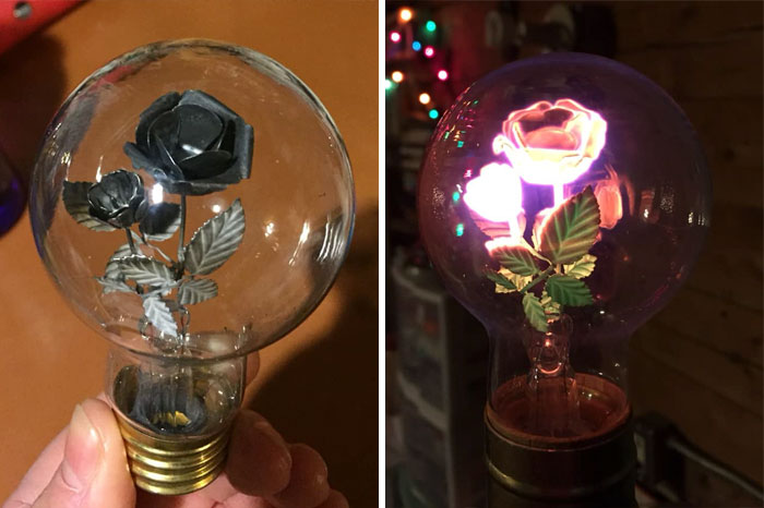 Got This Unusual Lightbulb As Bonus To A $5 Lamp At Value Village In Fairbanks