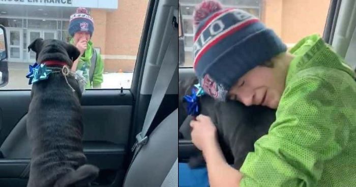 Boy Was Reunited With His Lost Dog And It's The Most Heartwarming Thing Ever