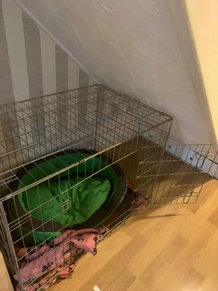 Woman Builds A Cozy Room Under The Stairs For Her Dog And The Pooch Loves It So Much That She Refuses To Leave