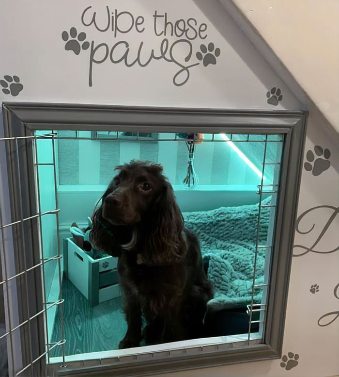 Woman Builds A Cozy Room Under The Stairs For Her Dog And The Pooch Loves It So Much That She Refuses To Leave