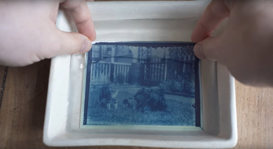 Man Opens A 120 Y.O. Time Capsule To Find Undeveloped Cat Pics, Decides To Develop Them