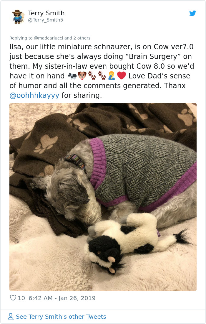 Wholesome Dad Finds Dog's 'Baby' Dying In The Rain, 'Hospitalizes' It And Sends Live Updates To The Family