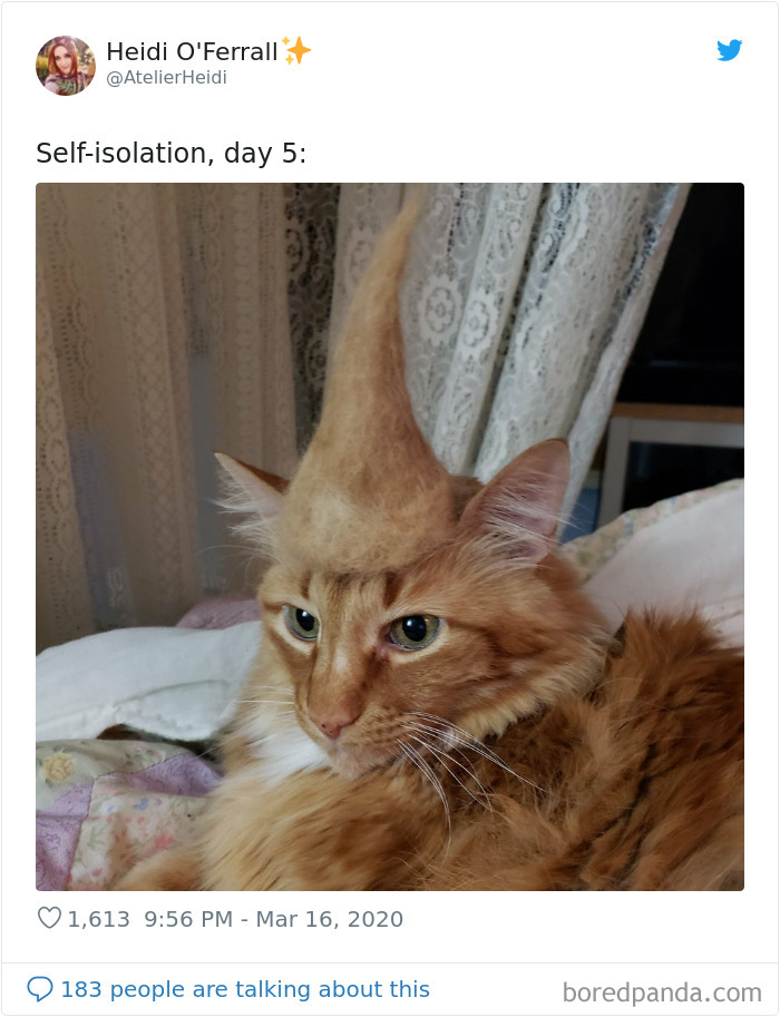 Self-Isolation, Day 5