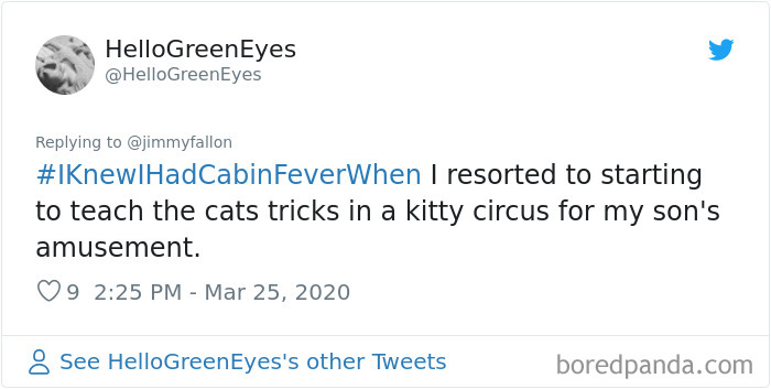 Funny-Knew-I-Had-Cabin-Fever-When-Tweets-Jimmy-Fallon