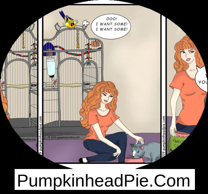 Wife, Husband, Parrot Create Comic Together
