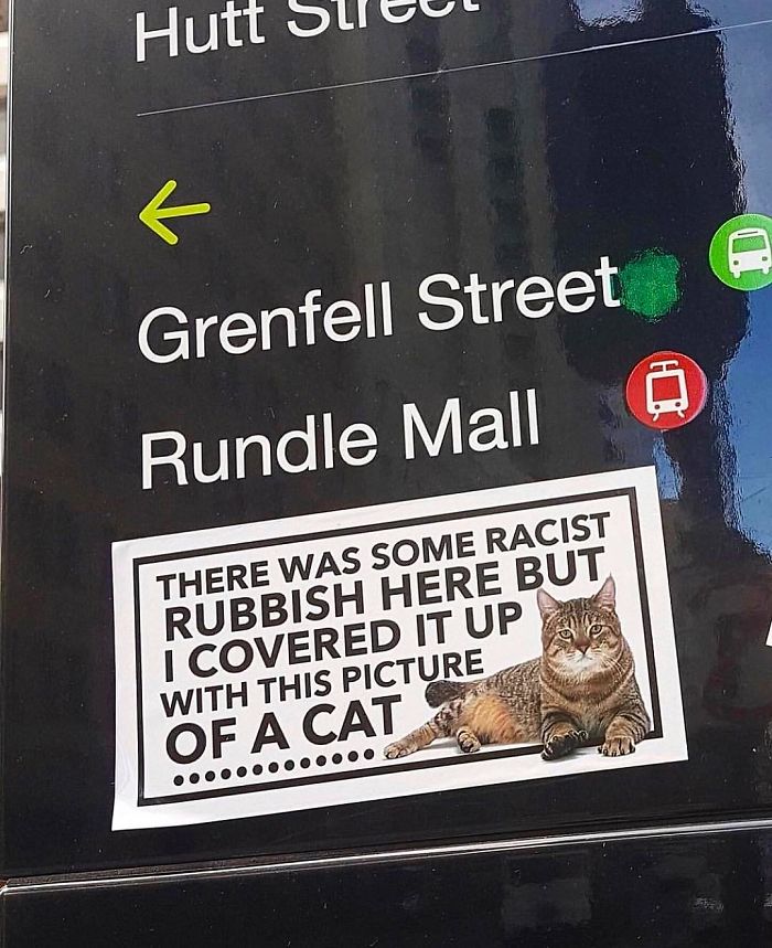 Someone In Manchester Keeps Covering Up Racist Graffiti With Cat Stickers
