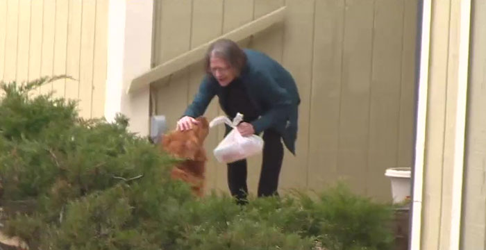 After This Elderly Woman With Respiratory Problems Had To Self-Isolate, Her Neighbor's Dog Started To Deliver Groceries To Her