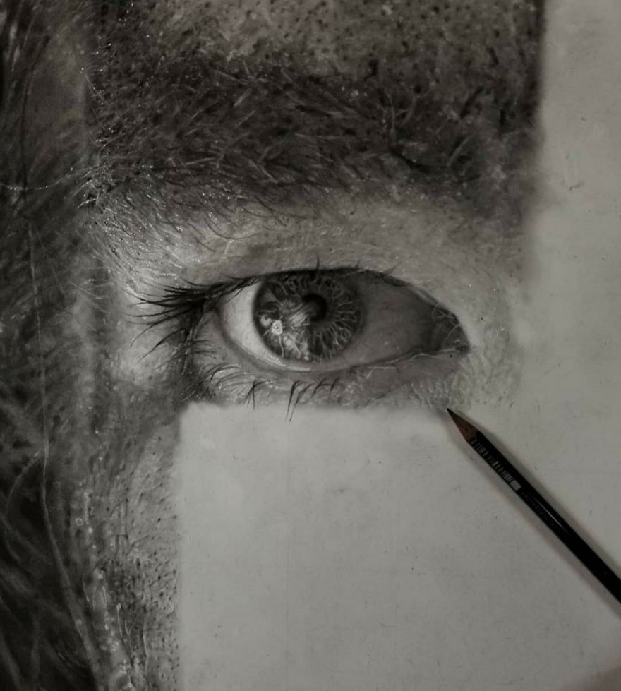 These Are Not Photographs. I Spend Hundreds Of Hours Creating Drawings With Charcoal And Graphite Pencils. This Is My Work.