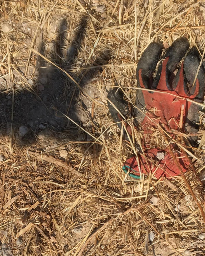 Tom Hanks Posts Another Photo Of A Glove, But This Time To Announce That He And His Wife Contracted Coronavirus
