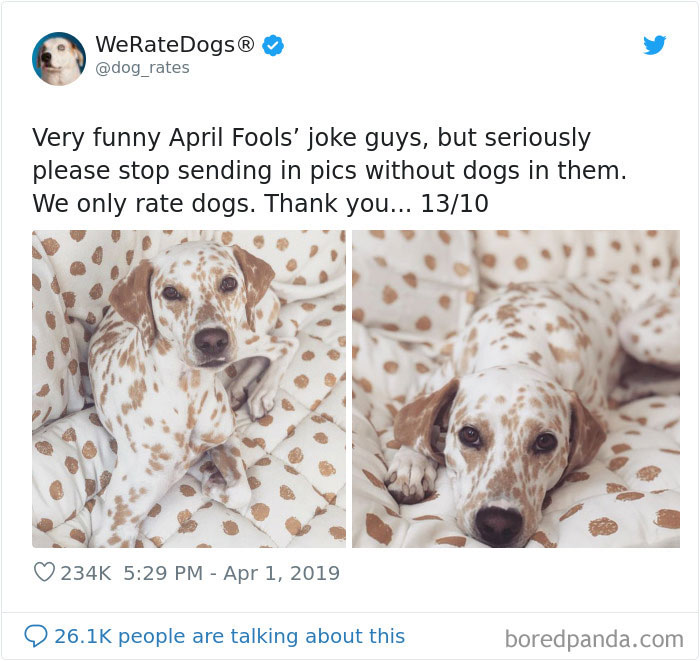 We Rate Dogs