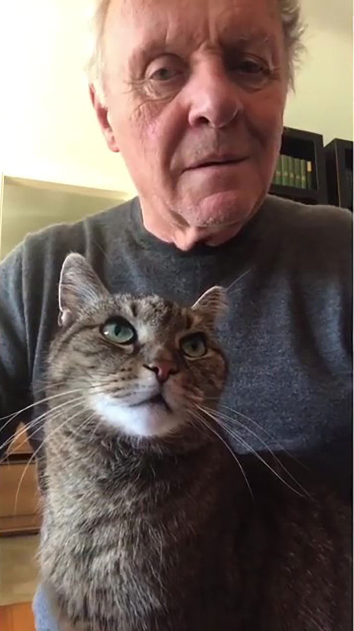 Anthony Hopkins Plays The Piano For His Cat Niblo During Self-isolation And He Looks Absolutely Ecstatic