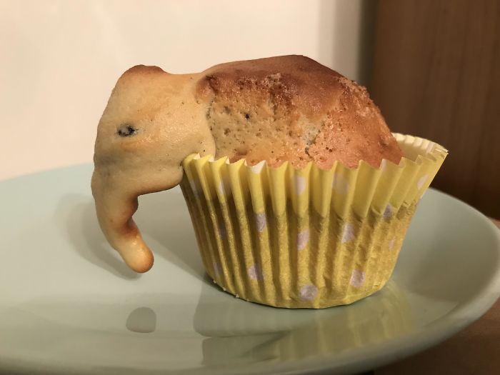 This Overflowing Cupcake Ended Up Looking Like An Elephant