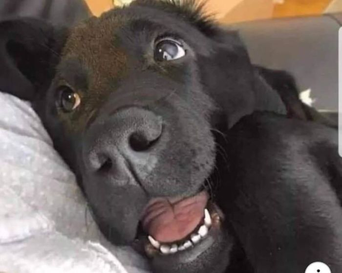 &ldquo;Tell Me The Story Of How You Rescued Me Again&rdquo;