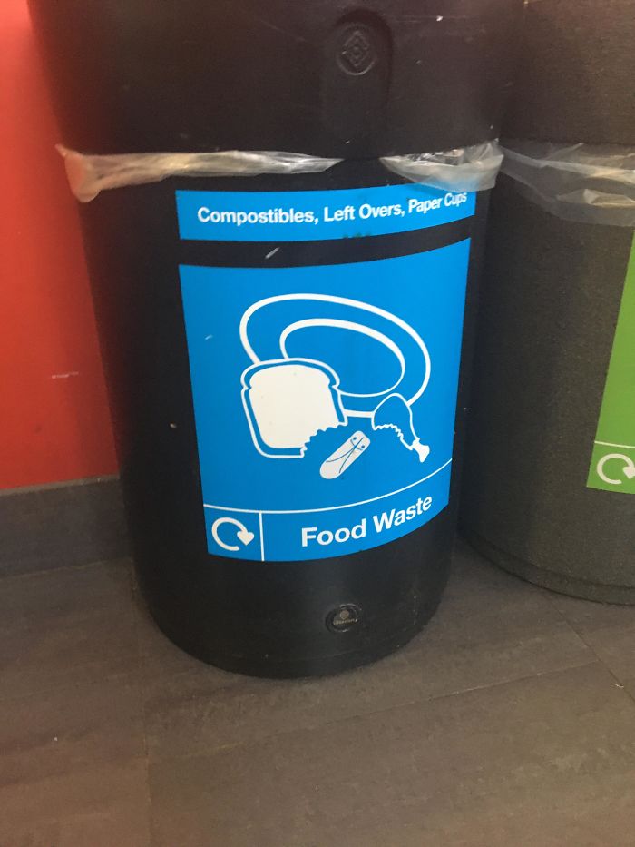 In My School We Have These Bins. There Is A Plate A Sandwich A Chicken/Turkey Leg And Then What?