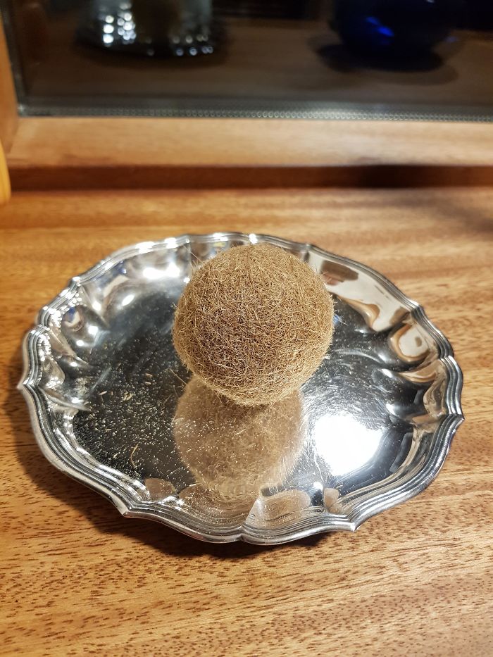 What Is This Fiber/Sand Ball? Found Among Thousands Like It On A Beach In Spain. It Weighs Almost Nothing