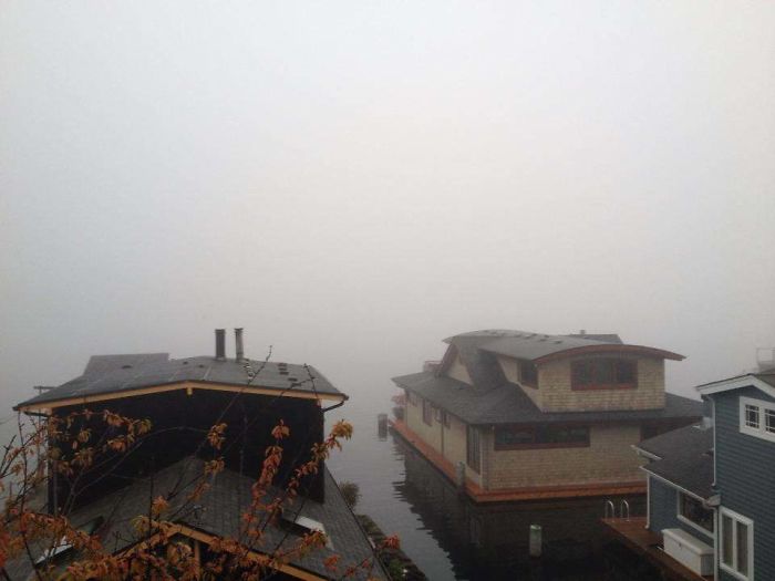 A Great View Of The Montlake Bridge This Morning