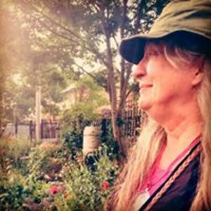 diana_wandelt avatar