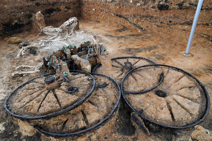 2000 Years Old Thracian Chariot With Horse Skeletons. Found In Bulgaria