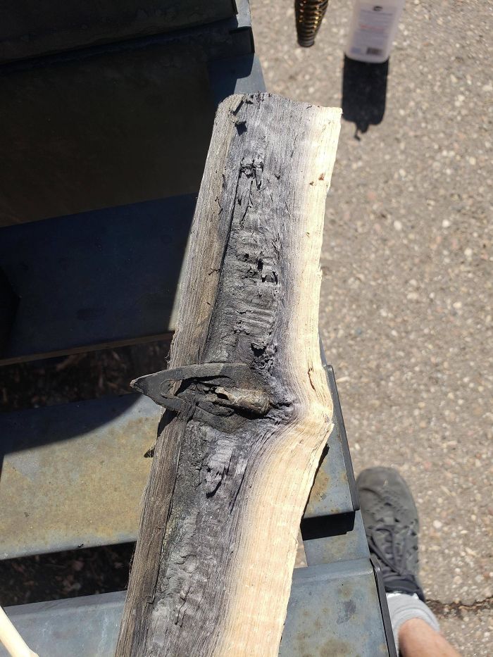 My Friend Was Splitting Logs And Found An Arrowhead