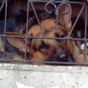 benita_amoulraj avatar