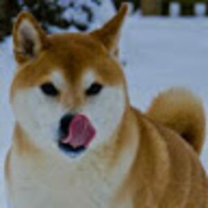 waltw avatar