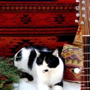 whimsicalbanjo avatar