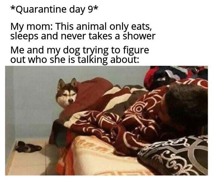 Quarantine Was Fun They Said