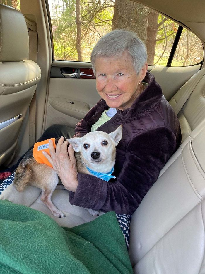 My Grandmother (87) With Her Newly Adopted Senior Peanut (14) On Their Way Home From Foster Care Today 
