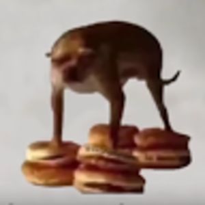 diegocastillo avatar