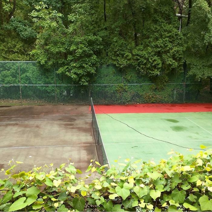 Power Washed Half The Tennis Court