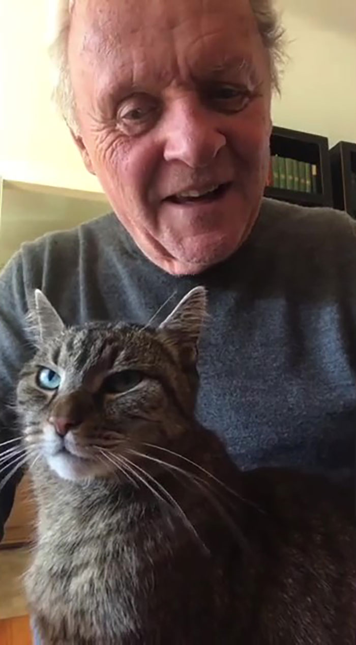 Anthony Hopkins Plays The Piano For His Cat Niblo During Self-isolation And He Looks Absolutely Ecstatic