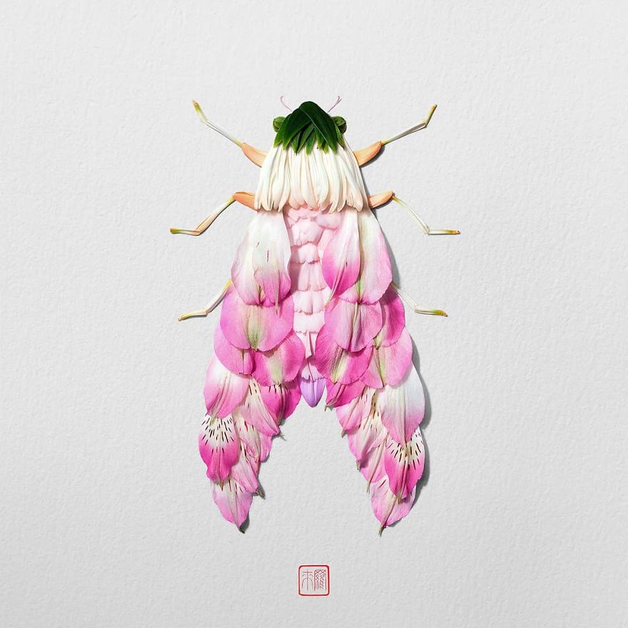 Insects-Flower-Arragements
