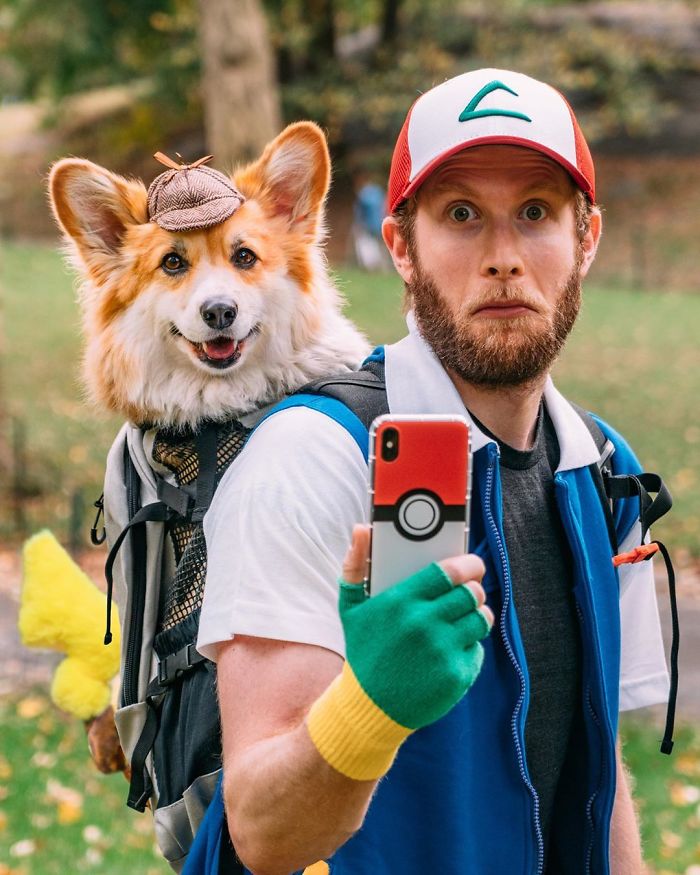 Guy Carries His Corgi In His Backpack, Brightens Everyone's Day As They Commute (31 Pics)