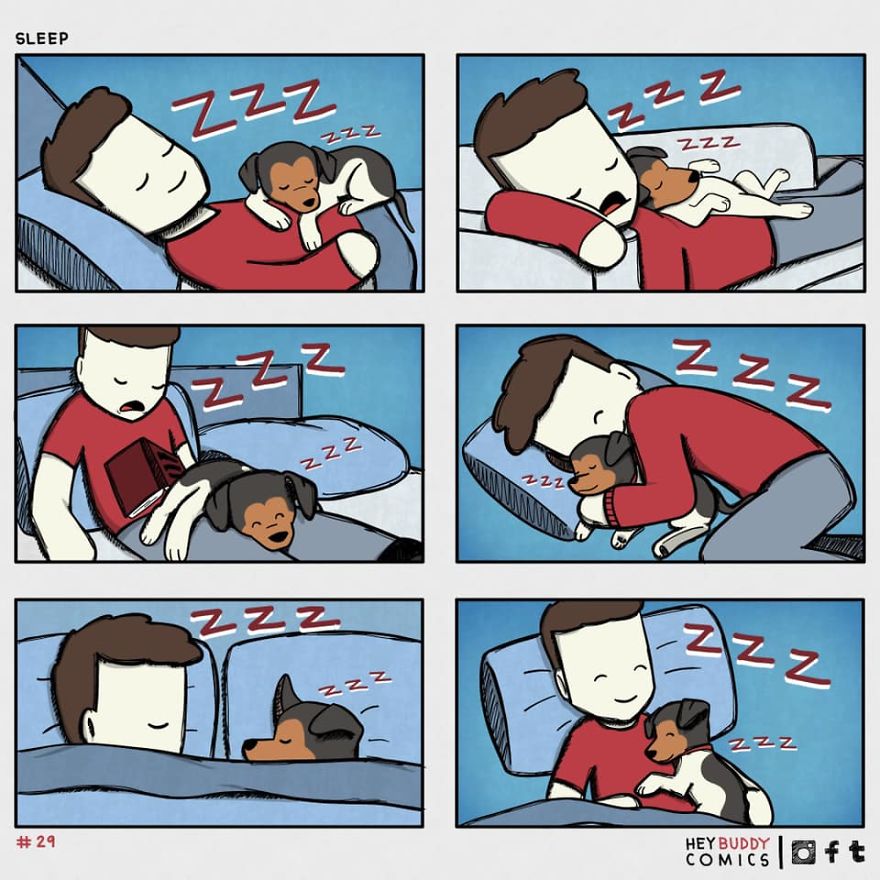 I Create Comics About My Dog That Most Dog Owners Will Relate To (11 New Pics)
