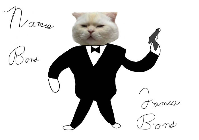 Names Bond, James Bond