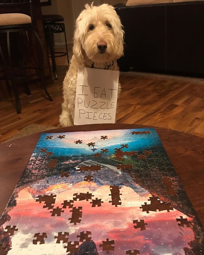 Apparently Puzzles Are A Delicious
