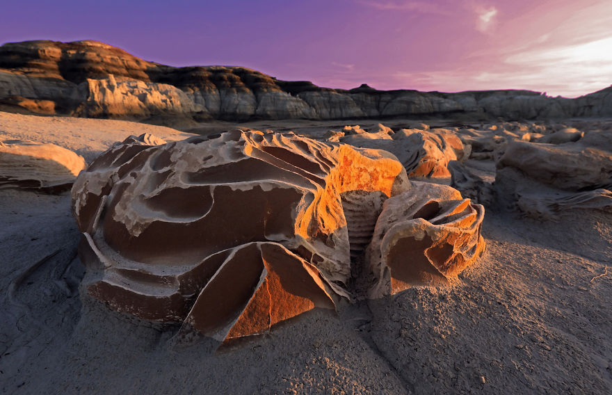 Extraterrestrial Earth