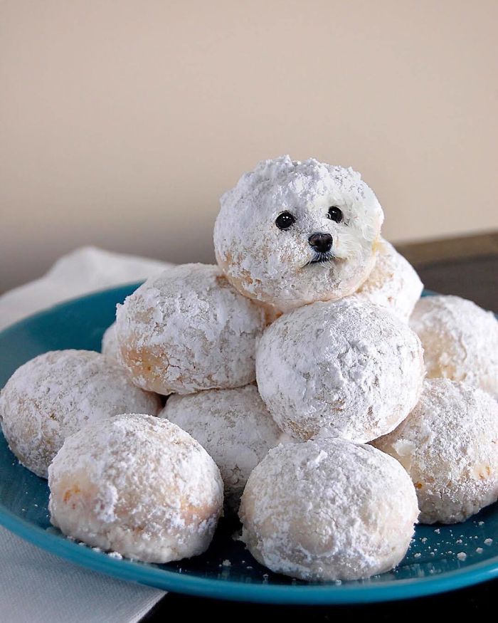 This Instagram Account Mixing Dogs With Food Will Amuse You