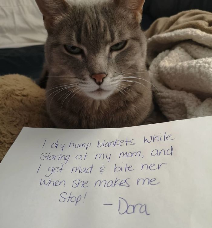 Well, This Happens On The Regular And In A World Of Animal Shaming