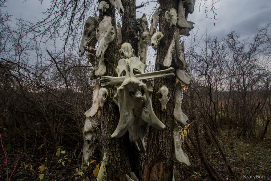 A Totem Of Animal Skulls