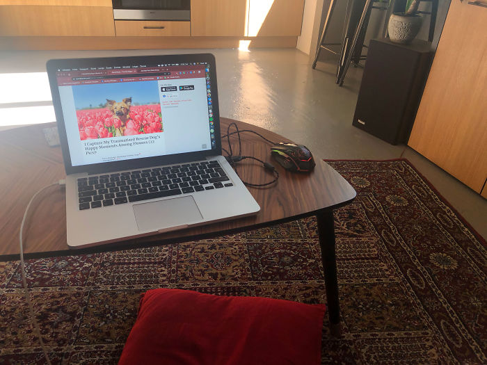 Here's My Setup, I Love Sitting On A Pillow While Working