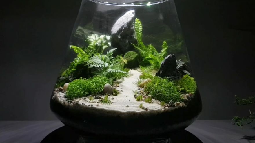 How To Make A Forest In Glass